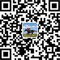 淄博17C视频滾（gǔn）塑防腐設備科技有限公司